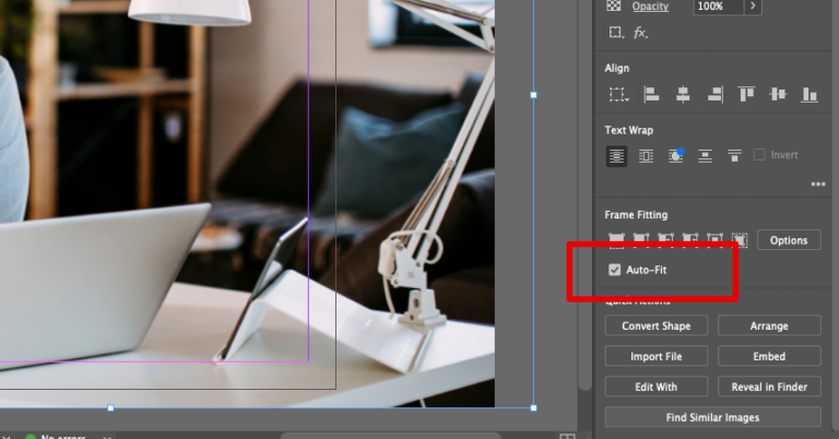 How to Resize Images in Adobe InDesign