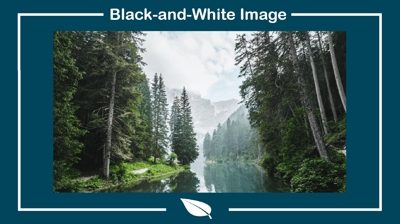 How to Make an Image Black and White in Adobe InDesign