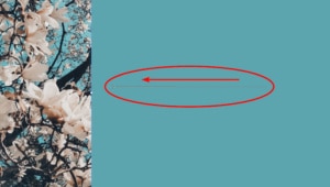 How to Create a Transparent Gradient in Adobe InDesign