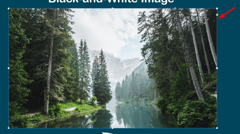 Black Ang White Indesign How to Make an Image Black and White in Adobe InDesign
